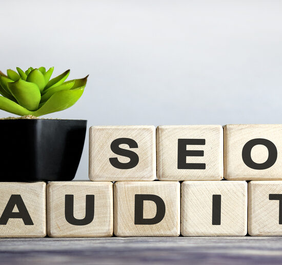 Orlando Seo Audit Services